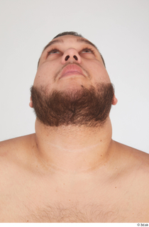 Ronaldo Biggato bearded head 0025.jpg